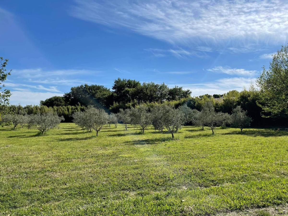 Appartement De Charme Sud Luberon Classe 4 Etoiles Puyvert Kültér fotó